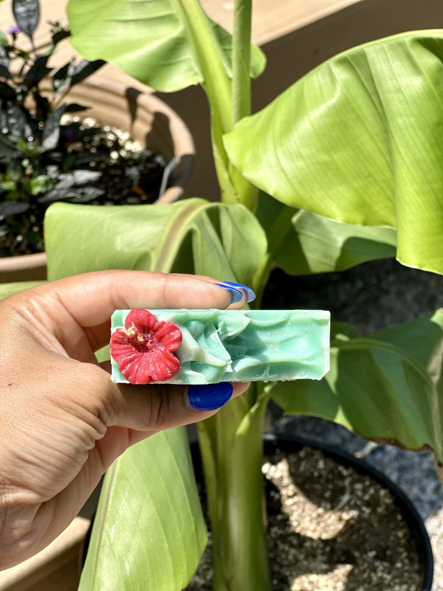 Flamenco - Soap Bar