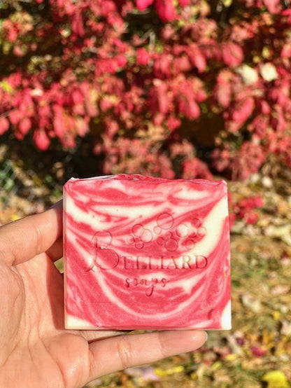 Candy Cane - Soap Bar